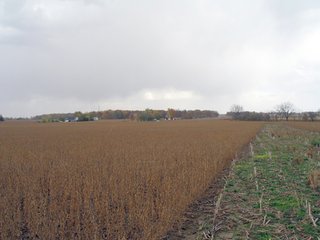 Property photo 17 - 97 +/- Acres Tillable Land Auction